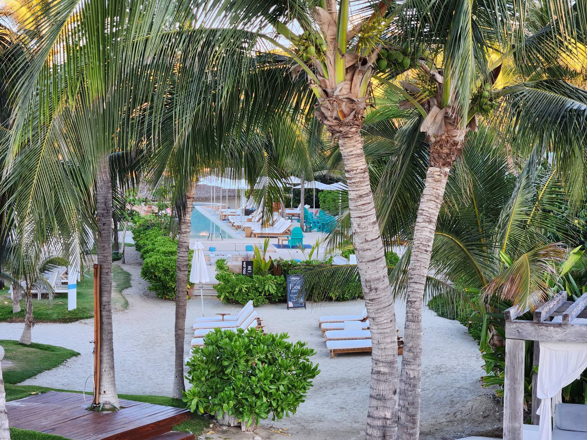 Avis&nbsp;: W Hotel Punta de Mita | Marriott Bonvoy - Adult Pool 1