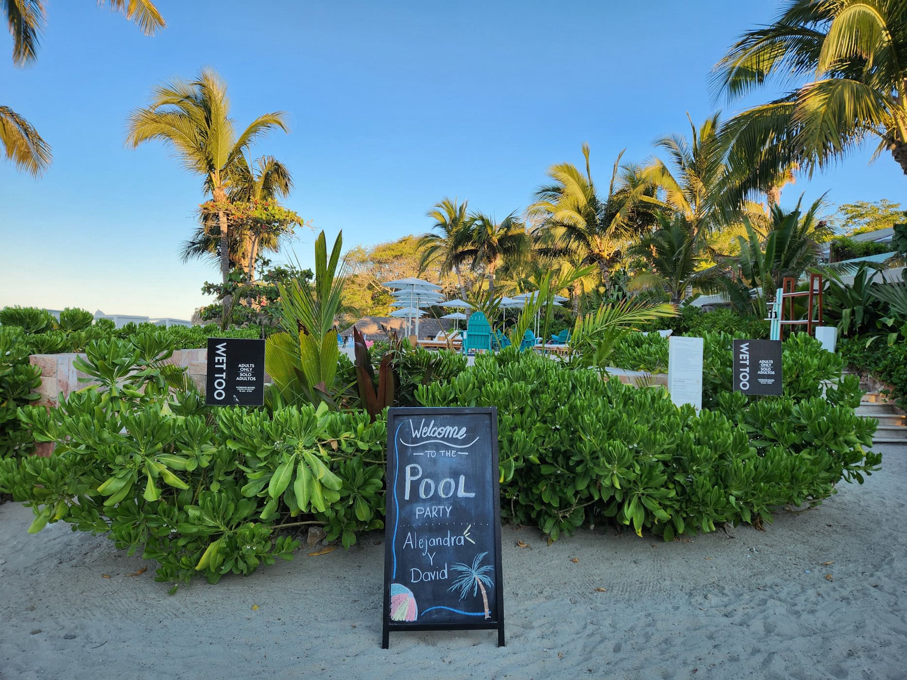 Avis&nbsp;: W Hotel Punta de Mita | Marriott Bonvoy - Adult Pool 2