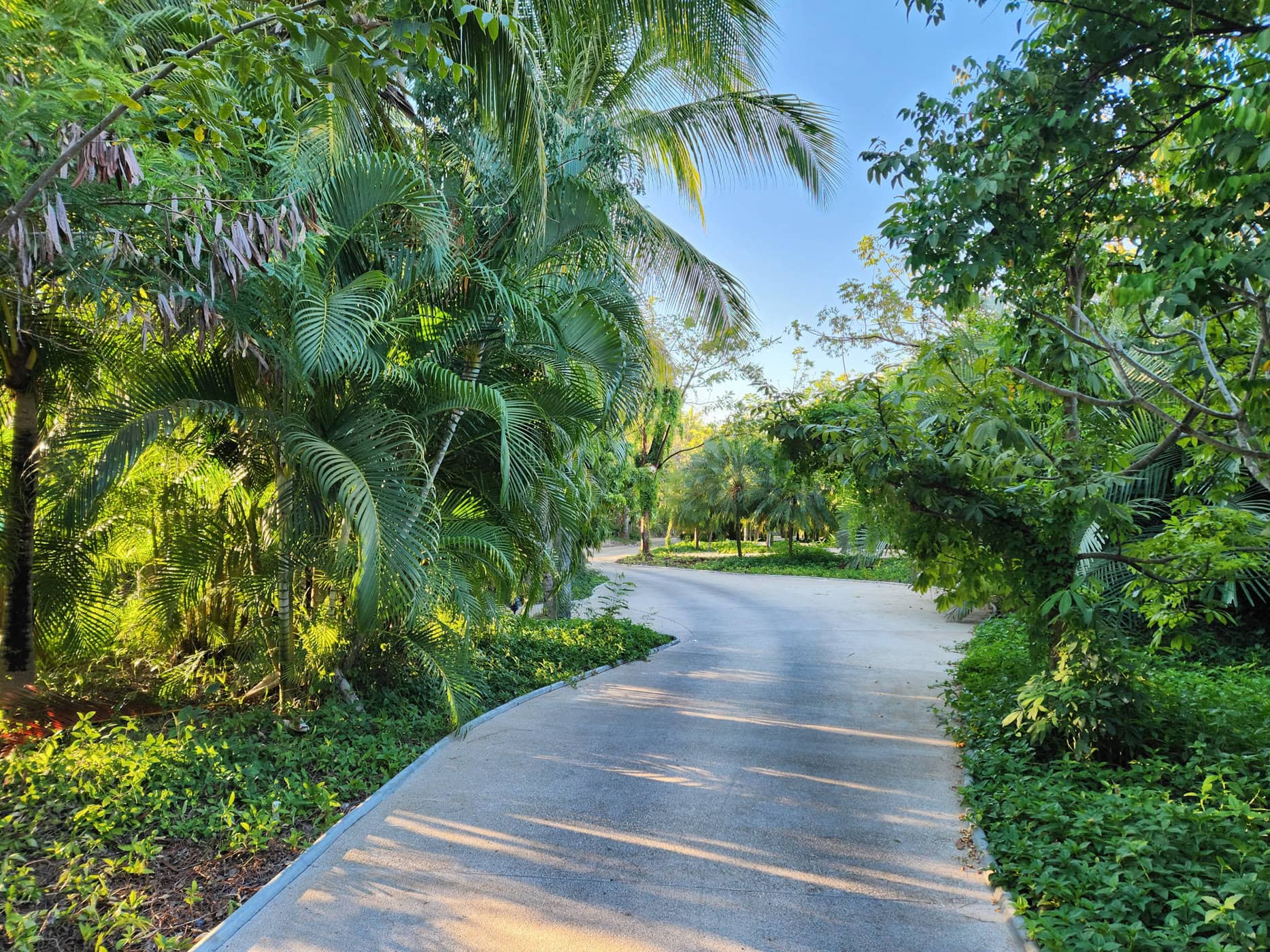 Avis&nbsp;: W Hotel Punta de Mita | Marriott Bonvoy - Exterior 7