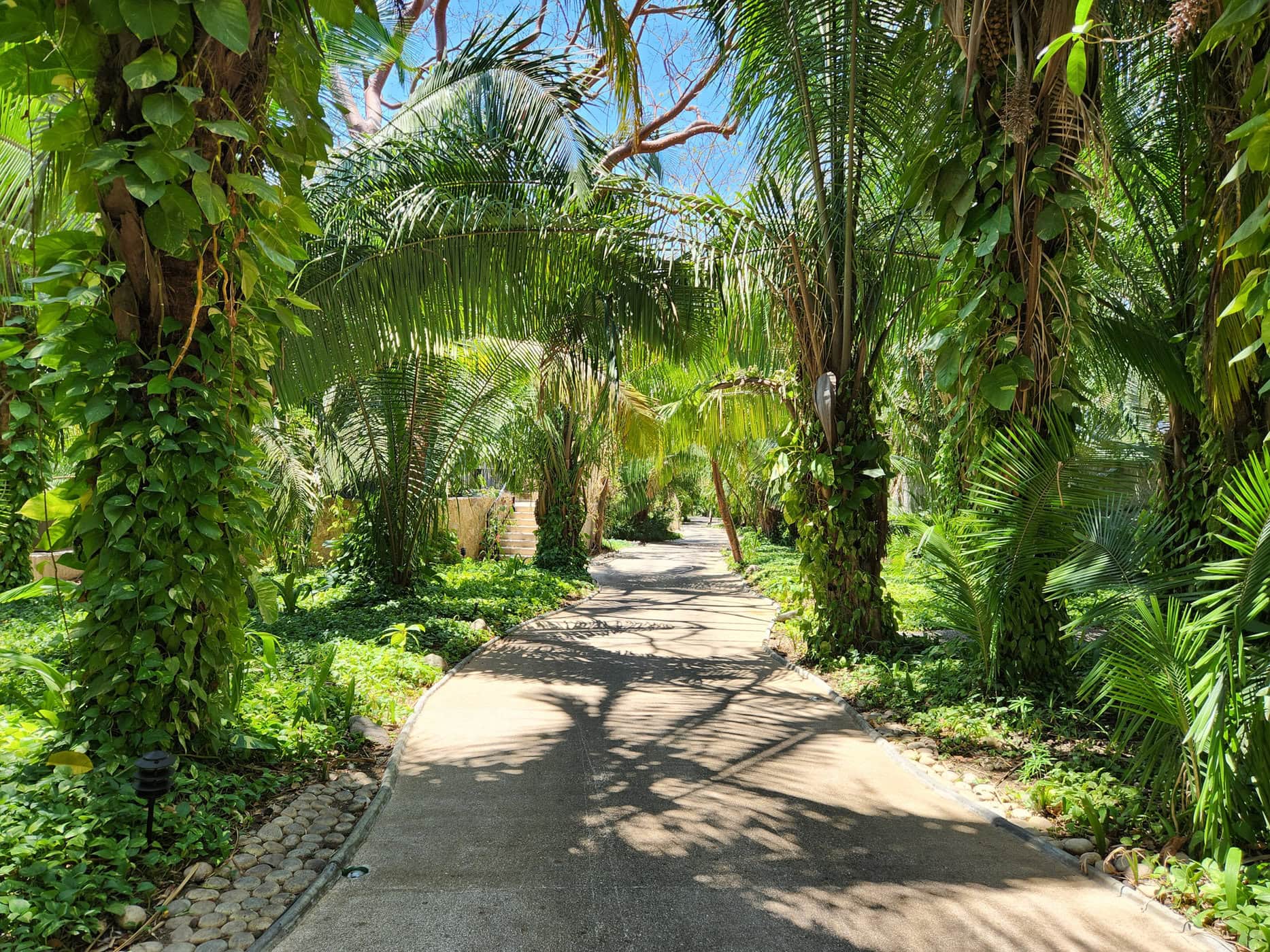 Avis&nbsp;: W Hotel Punta de Mita | Marriott Bonvoy - Exterior 8