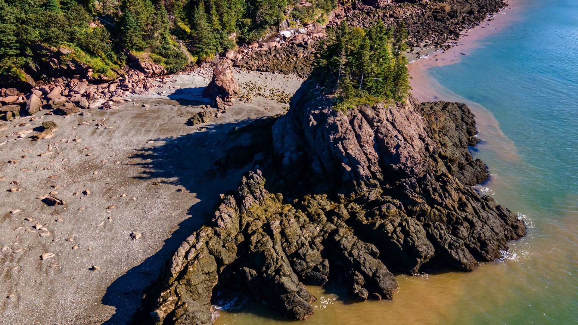 Canadian Roadtrips: 5 Itineraries to Discover the Country by Car - Parc-national-Fundy