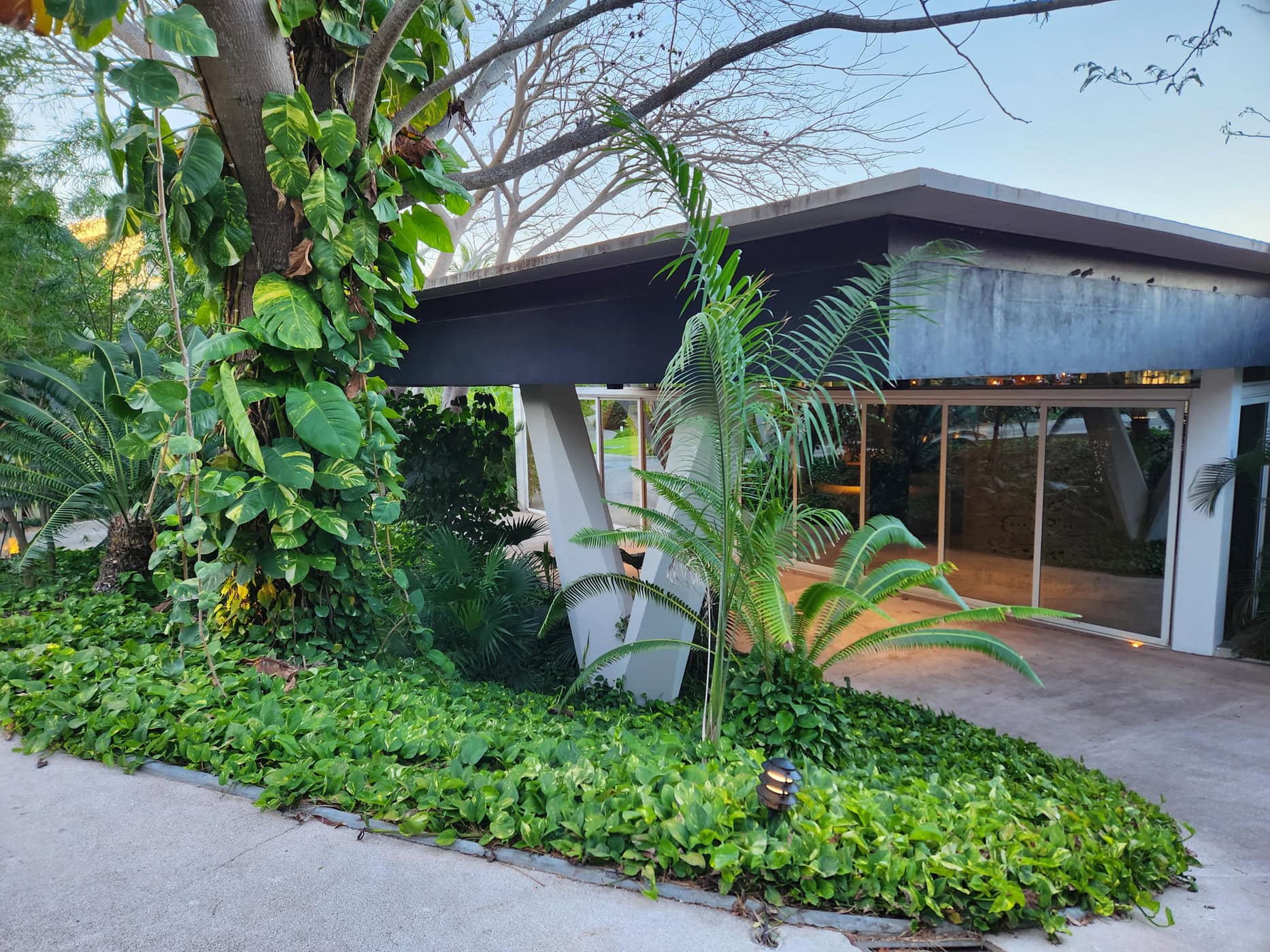 Avis&nbsp;: W Hotel Punta de Mita | Marriott Bonvoy - Reception 1