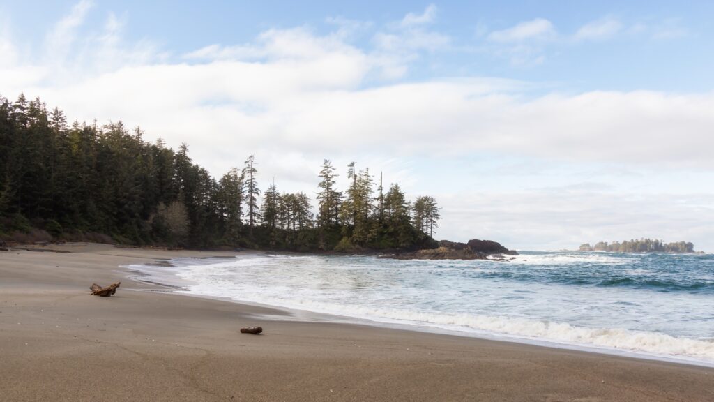 Tofino