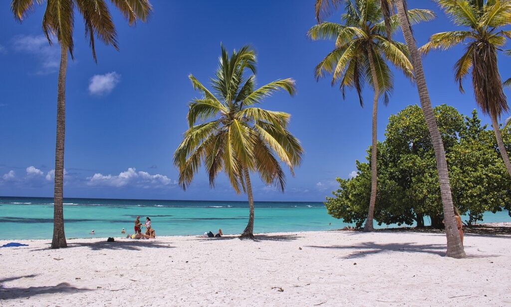 plage de sable blanc avec des cocotiers