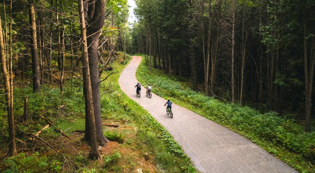 Une famille fait du vélo en forêt