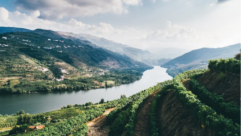 Croisière fluviale dans le Douro