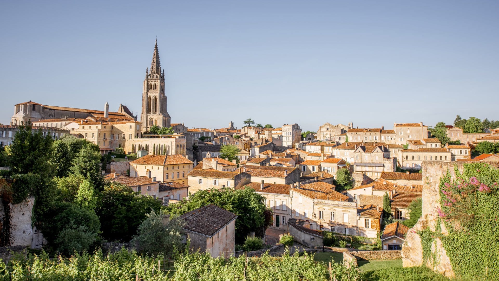 Croisière fluviale à Saint-Émilion