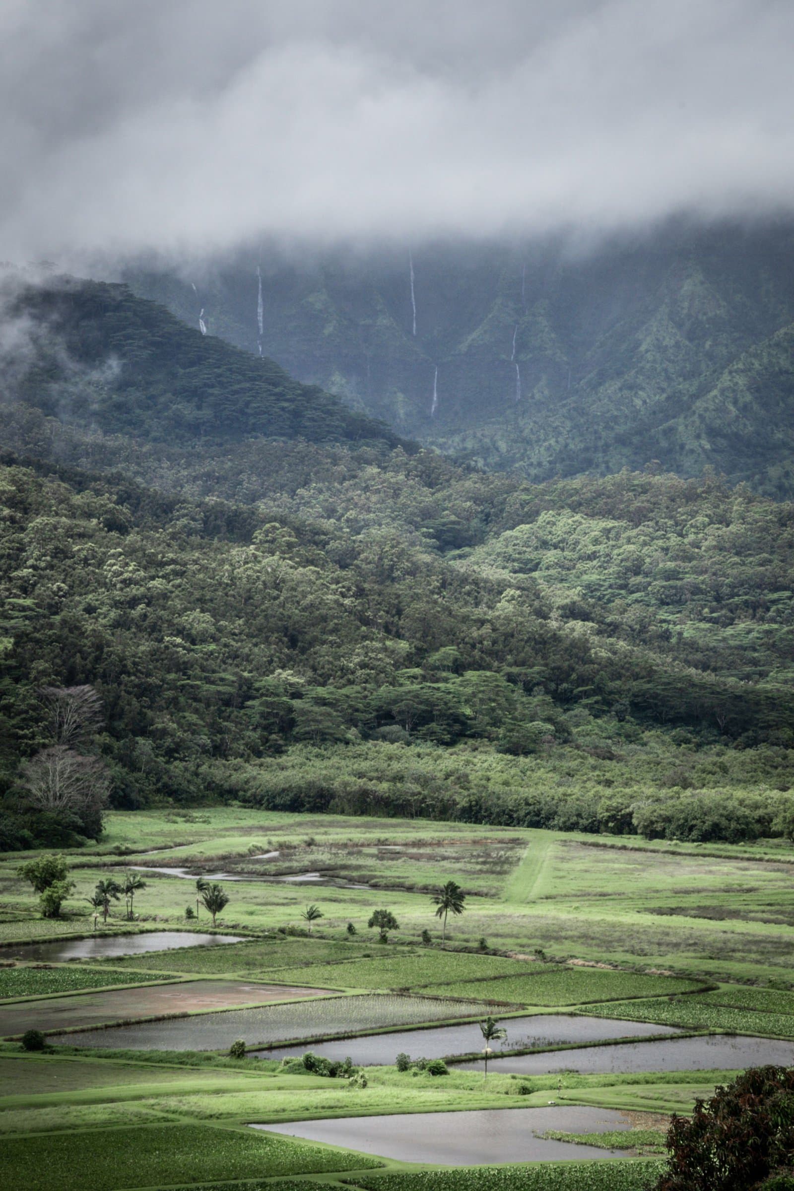 États-Unis&nbsp;: guide de voyage à Kauai, Hawaï | Itinéraires et incontournables - DSC5633