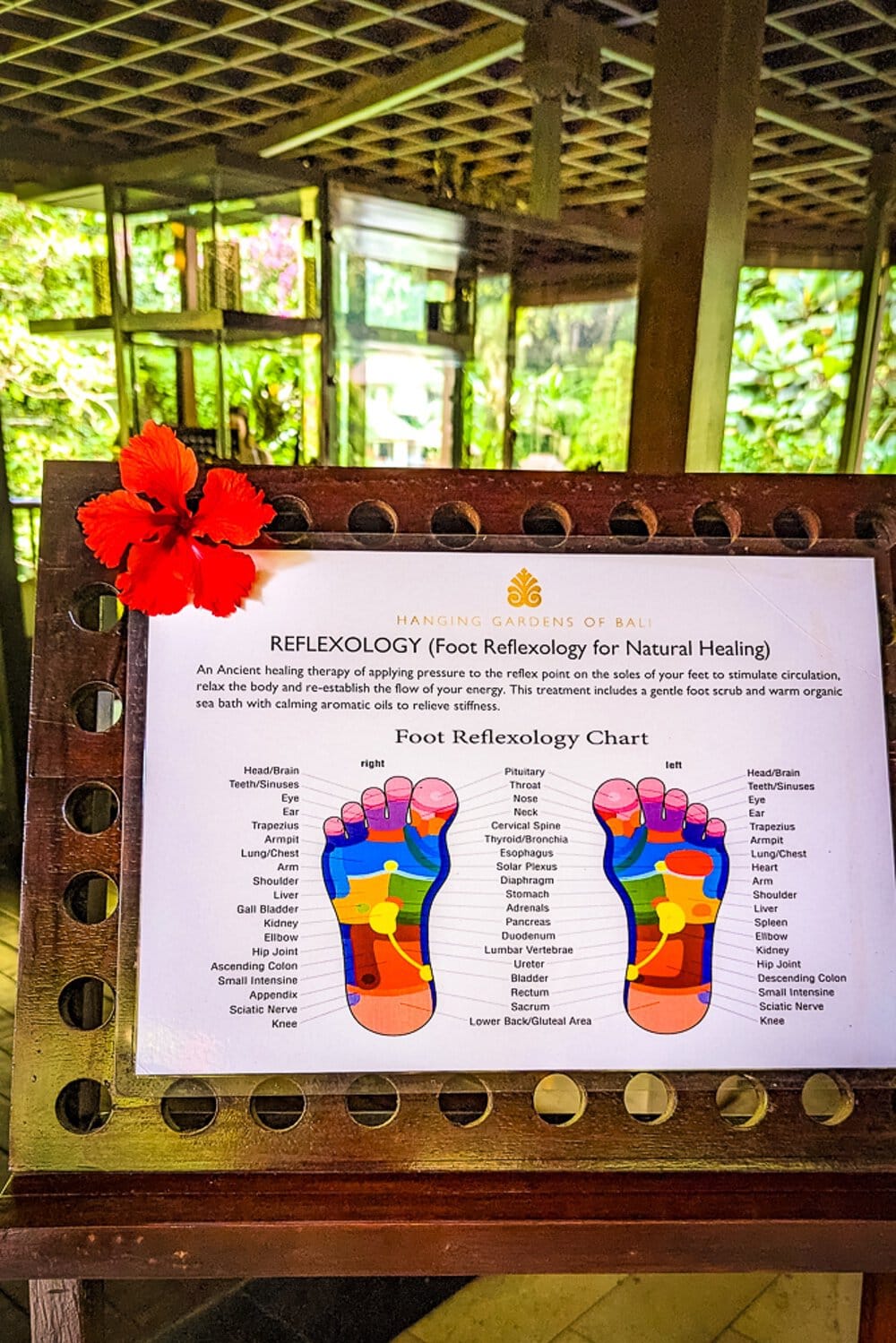 Mon expérience ResortPass&nbsp;: Hanging Gardens of Bali - Hanging gardens of Bali 13