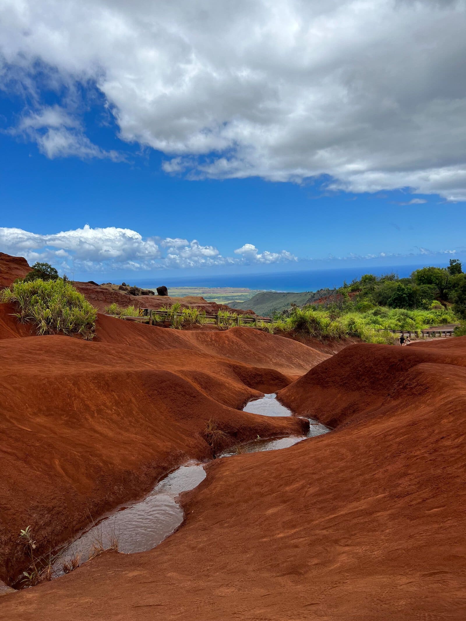 États-Unis&nbsp;: guide de voyage à Kauai, Hawaï | Itinéraires et incontournables - IMG 1661