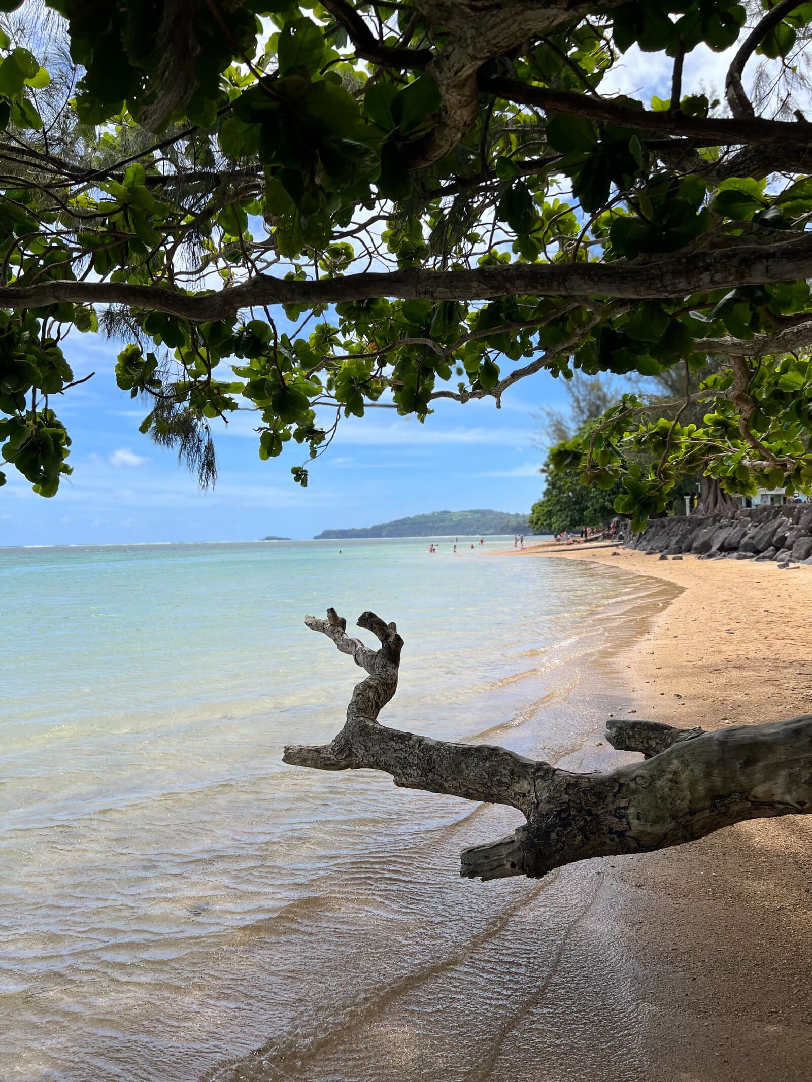 États-Unis&nbsp;: guide de voyage à Kauai, Hawaï | Itinéraires et incontournables - IMG 1804