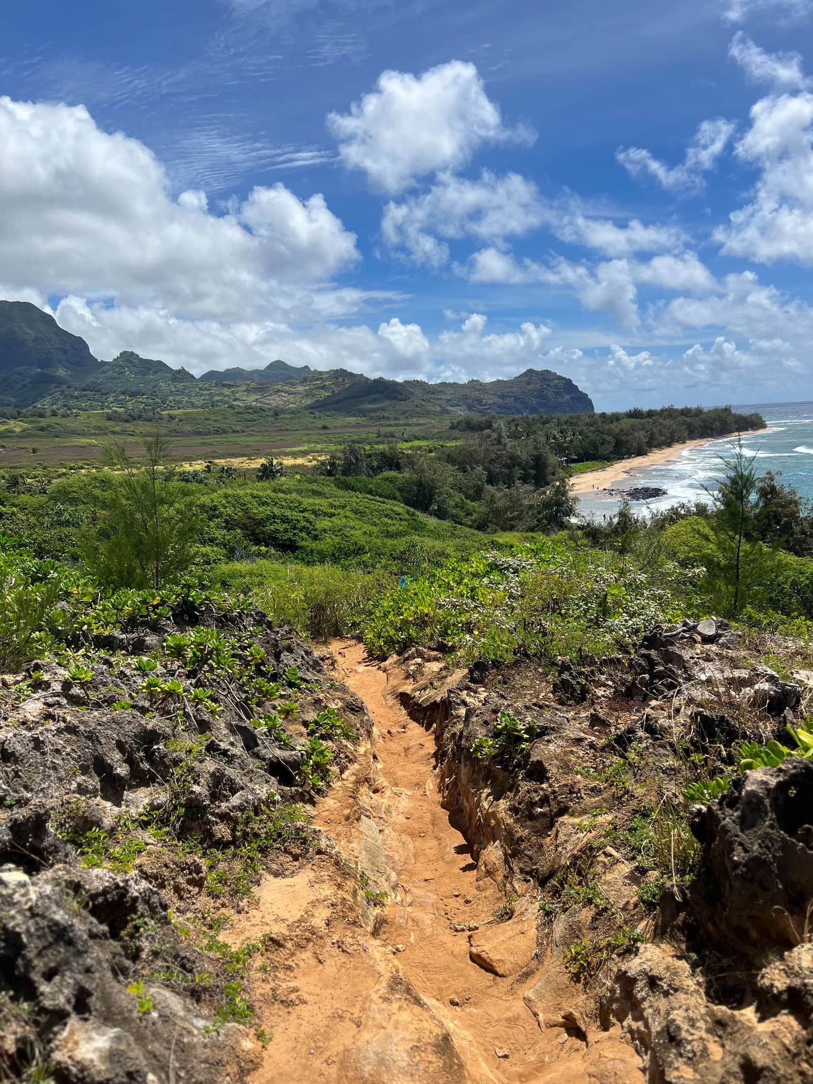 États-Unis&nbsp;: guide de voyage à Kauai, Hawaï | Itinéraires et incontournables - IMG 1872
