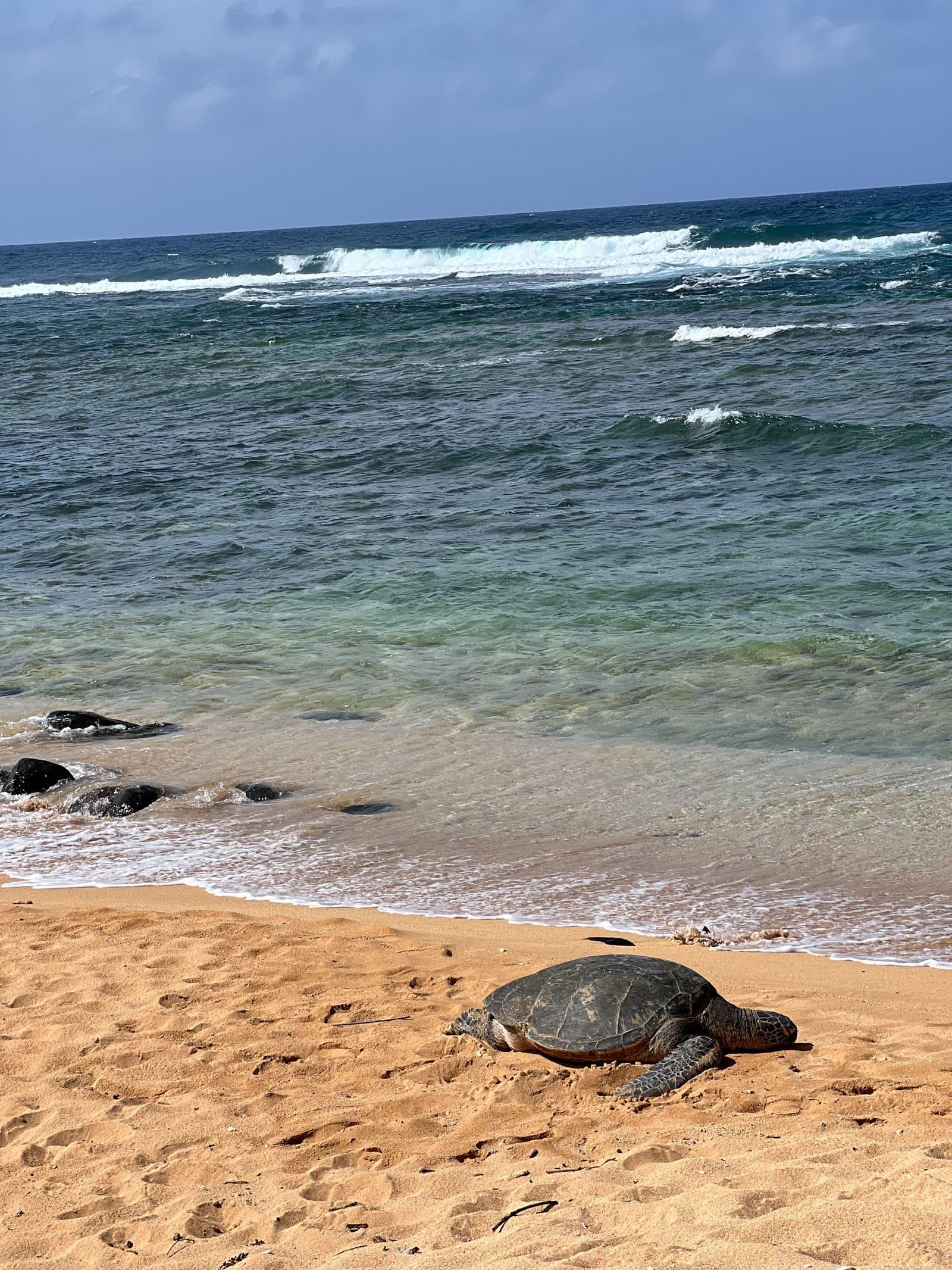 États-Unis&nbsp;: guide de voyage à Kauai, Hawaï | Itinéraires et incontournables - IMG 2119