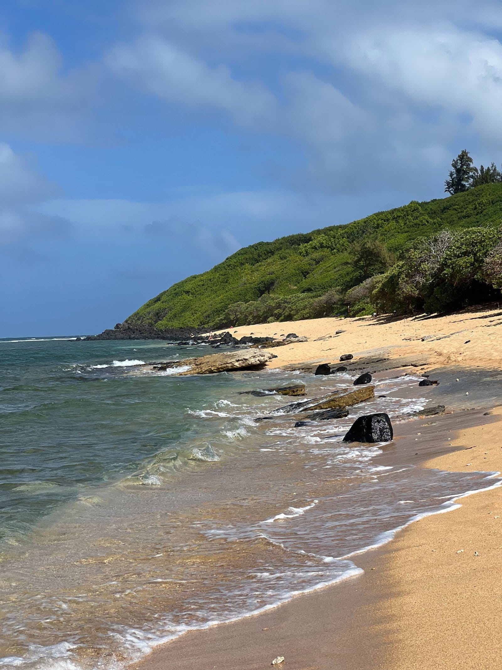 États-Unis&nbsp;: guide de voyage à Kauai, Hawaï | Itinéraires et incontournables - IMG 2122