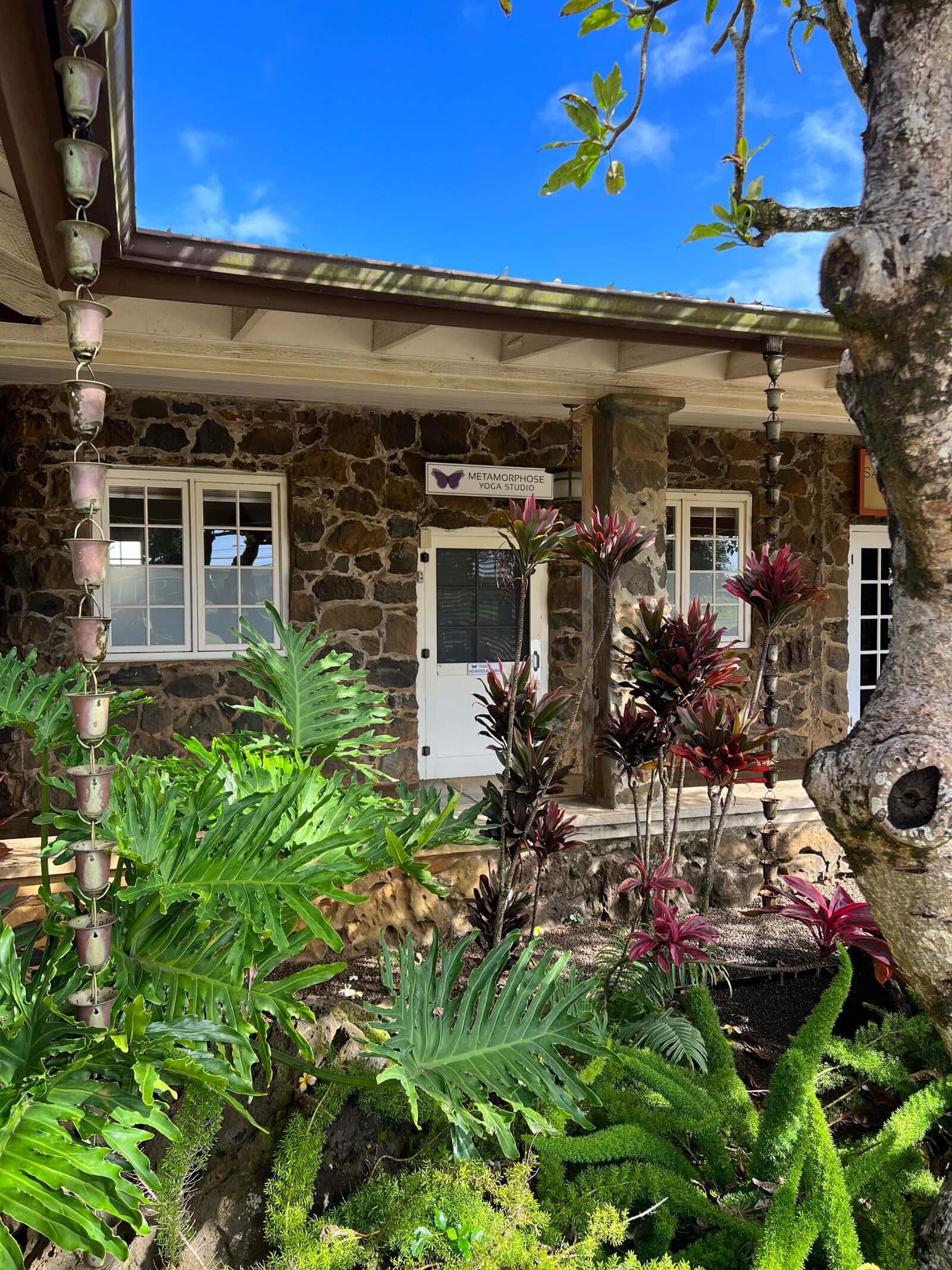 États-Unis&nbsp;: guide de voyage à Kauai, Hawaï | Itinéraires et incontournables - IMG 2151