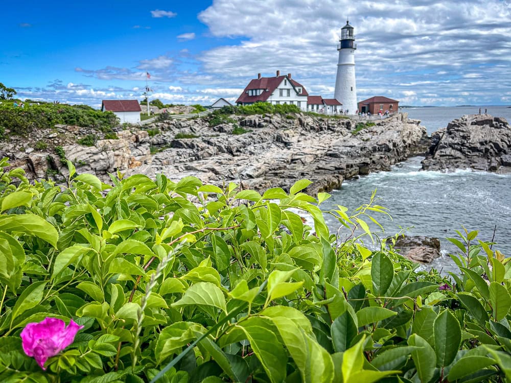 Portland head