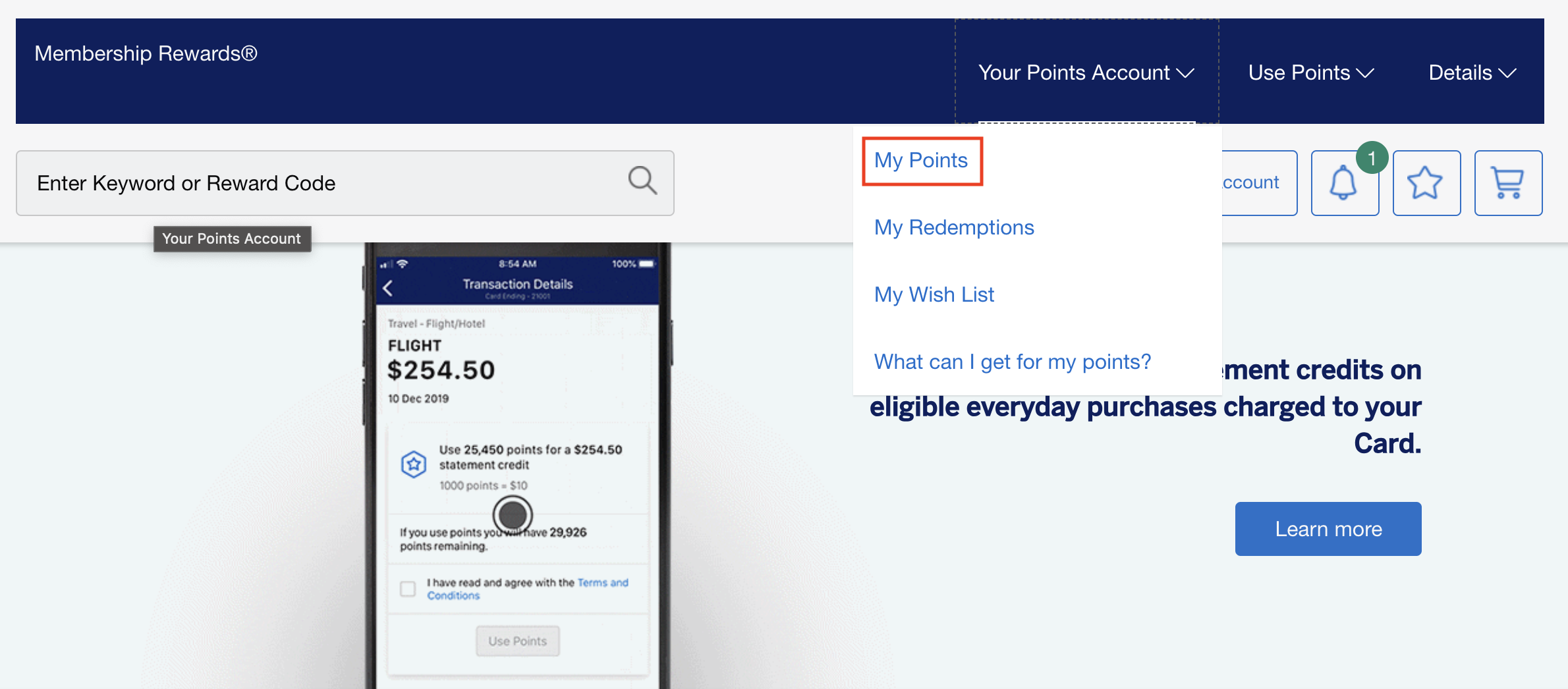Tutorial: how to access details of points accumulated by transaction - amex-points-2-fr