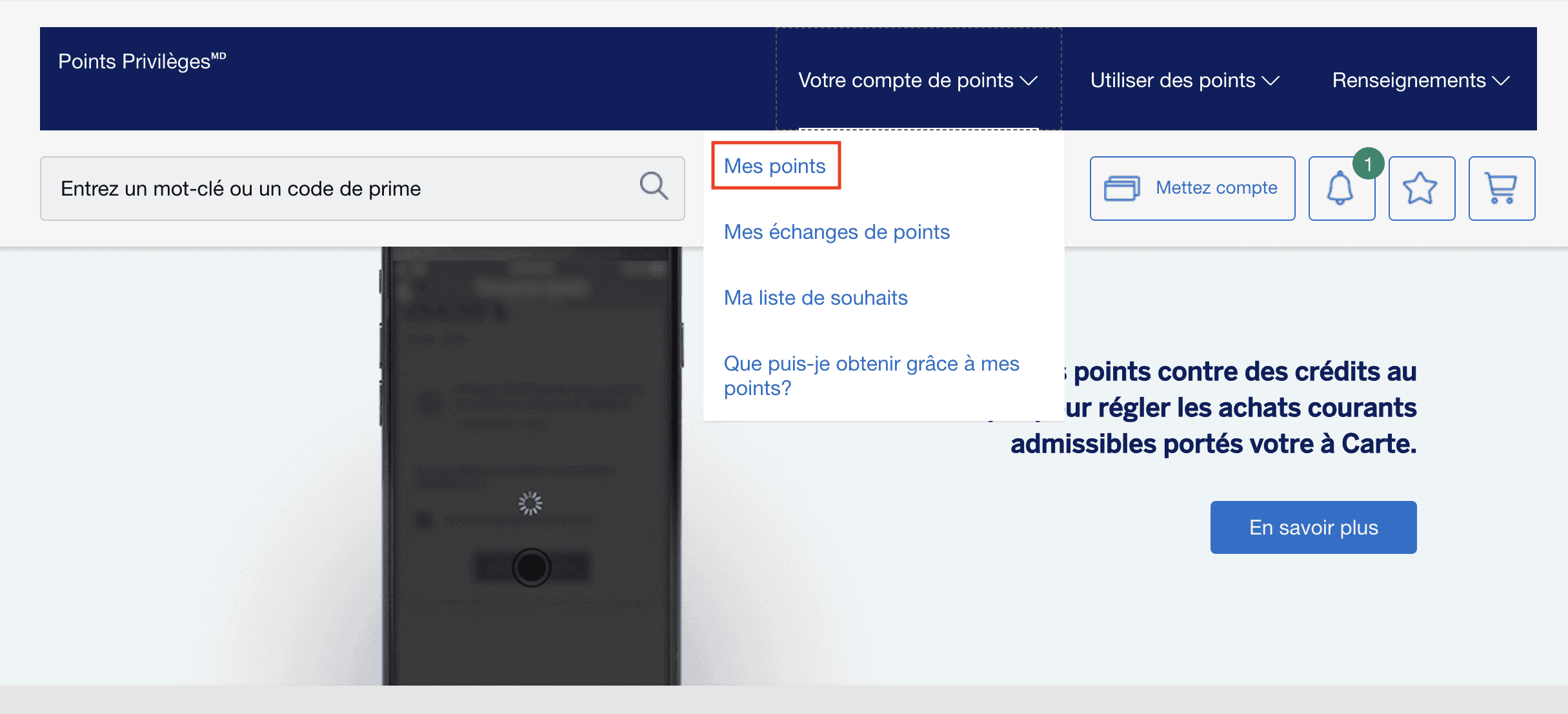 Tutoriel&nbsp;: comment accéder au détail des points accumulés par transaction - amex points 2 fr