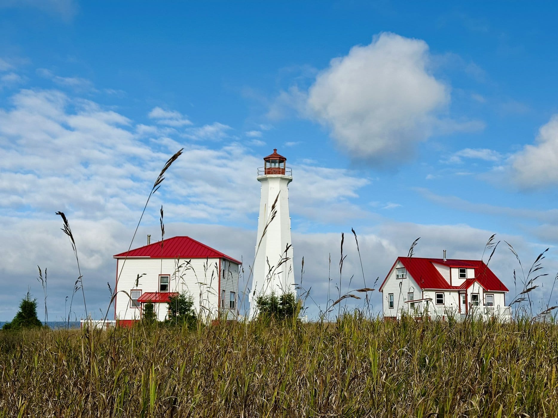 Anticosti&nbsp;: voyage au c&oelig;ur d&rsquo;une &icirc;le pr&eacute;serv&eacute;e | Itin&eacute;raires et incontournables - Anticosti Phare
