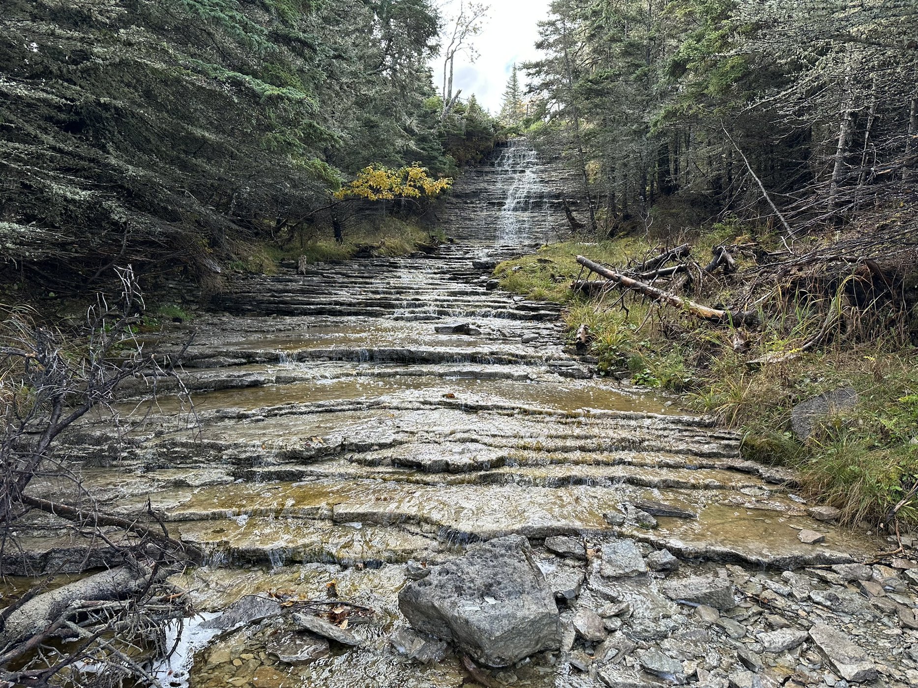Anticosti&nbsp;: voyage au c&oelig;ur d&rsquo;une &icirc;le pr&eacute;serv&eacute;e | Itin&eacute;raires et incontournables - Chute Boulay