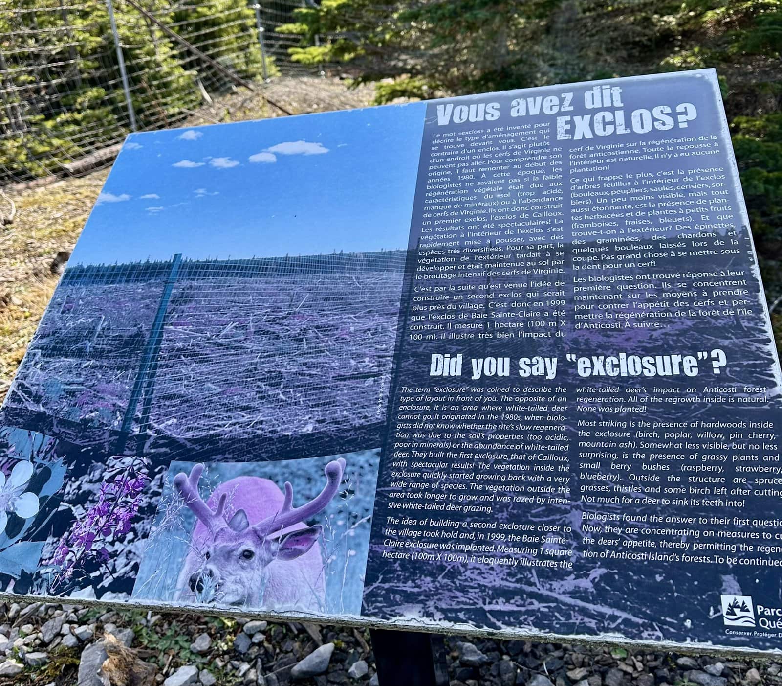 Anticosti&nbsp;: voyage au c&oelig;ur d&rsquo;une &icirc;le pr&eacute;serv&eacute;e | Itin&eacute;raires et incontournables - Exclos Anticosti 2
