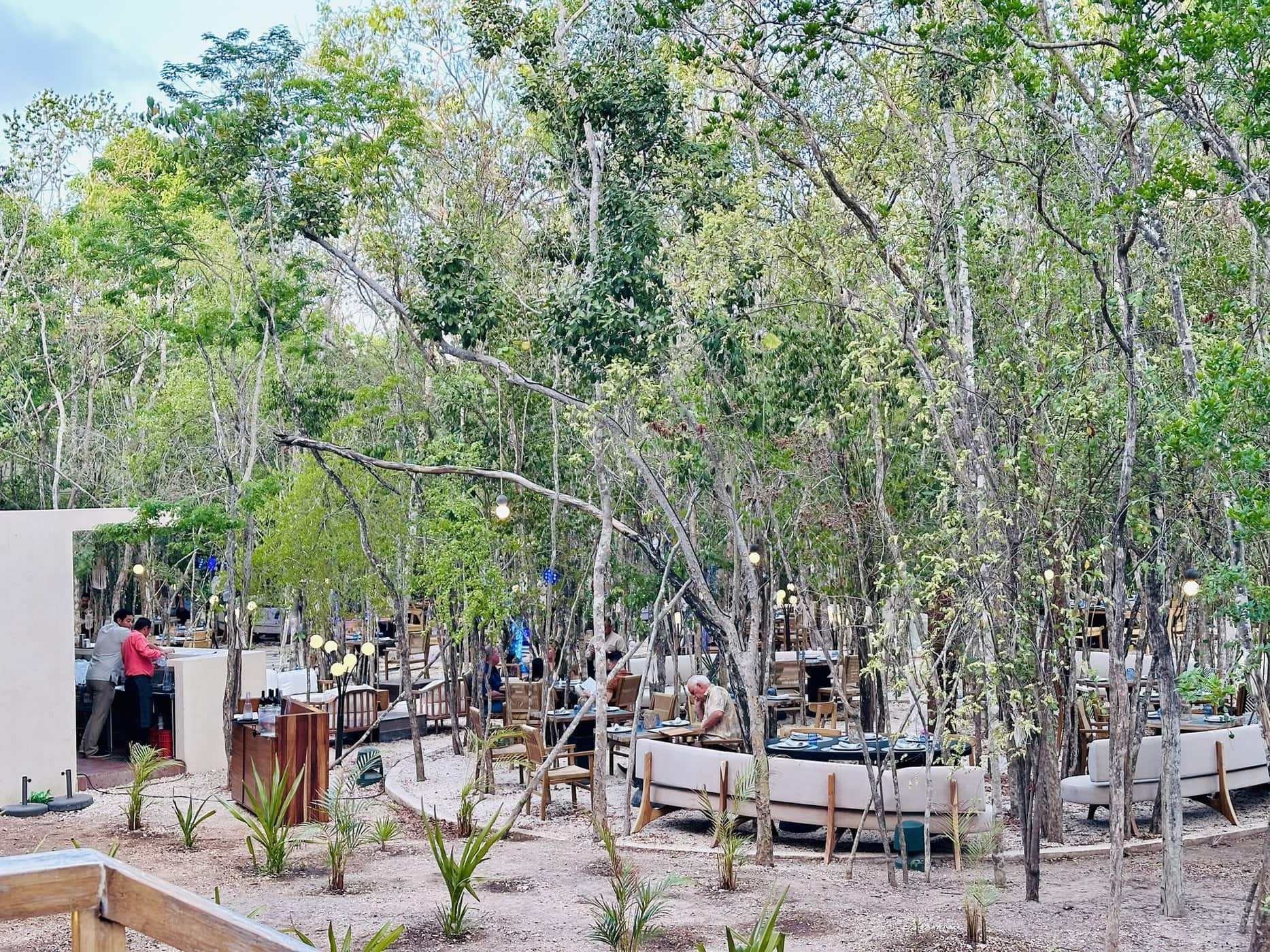 Avis&nbsp;: Secrets Tulum Resort & Beach Club | World of Hyatt - Secrets Tulum restaurant
