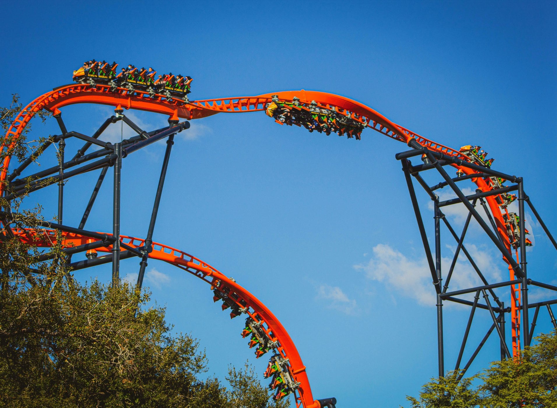 Guide to the Best Theme Parks in North America - Busch Gardens Tampa Bay