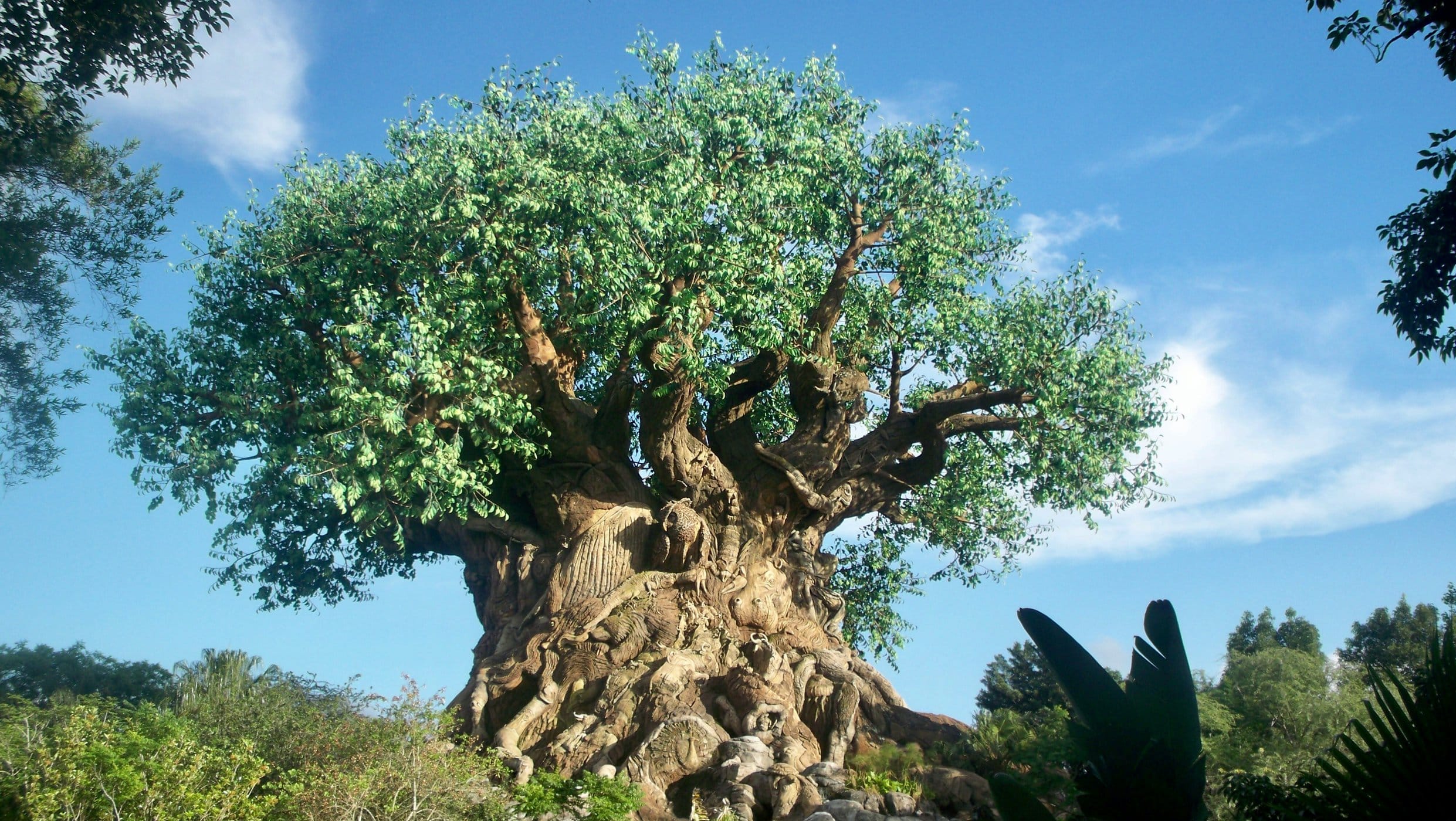 Guide to the Best Theme Parks in North America - Walt Disney World2