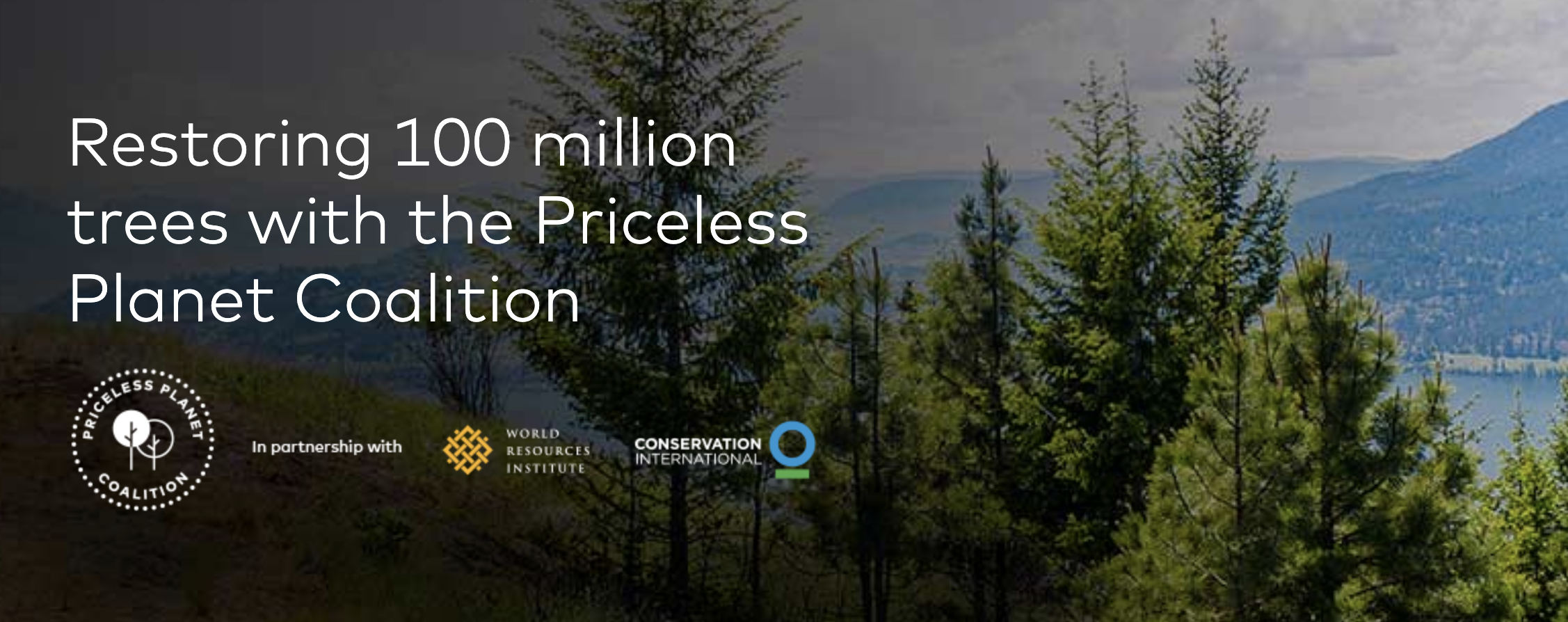 TD And MBNA Commit To Reforestation In Canada - mastercard-planete-arbres-fr
