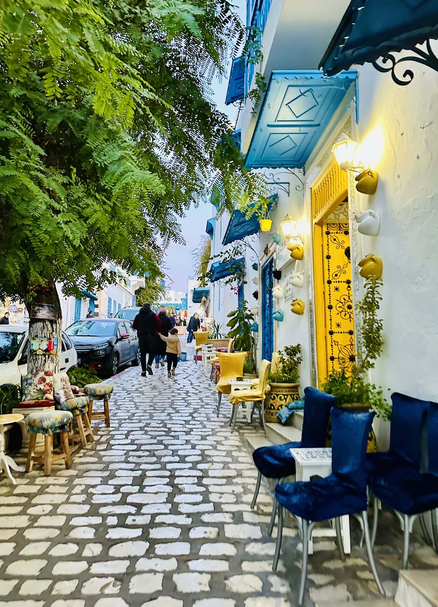 Tunisia Travel Guide: from Tunis to the Sahara | Itineraries and Highlights - sidi bou said 1