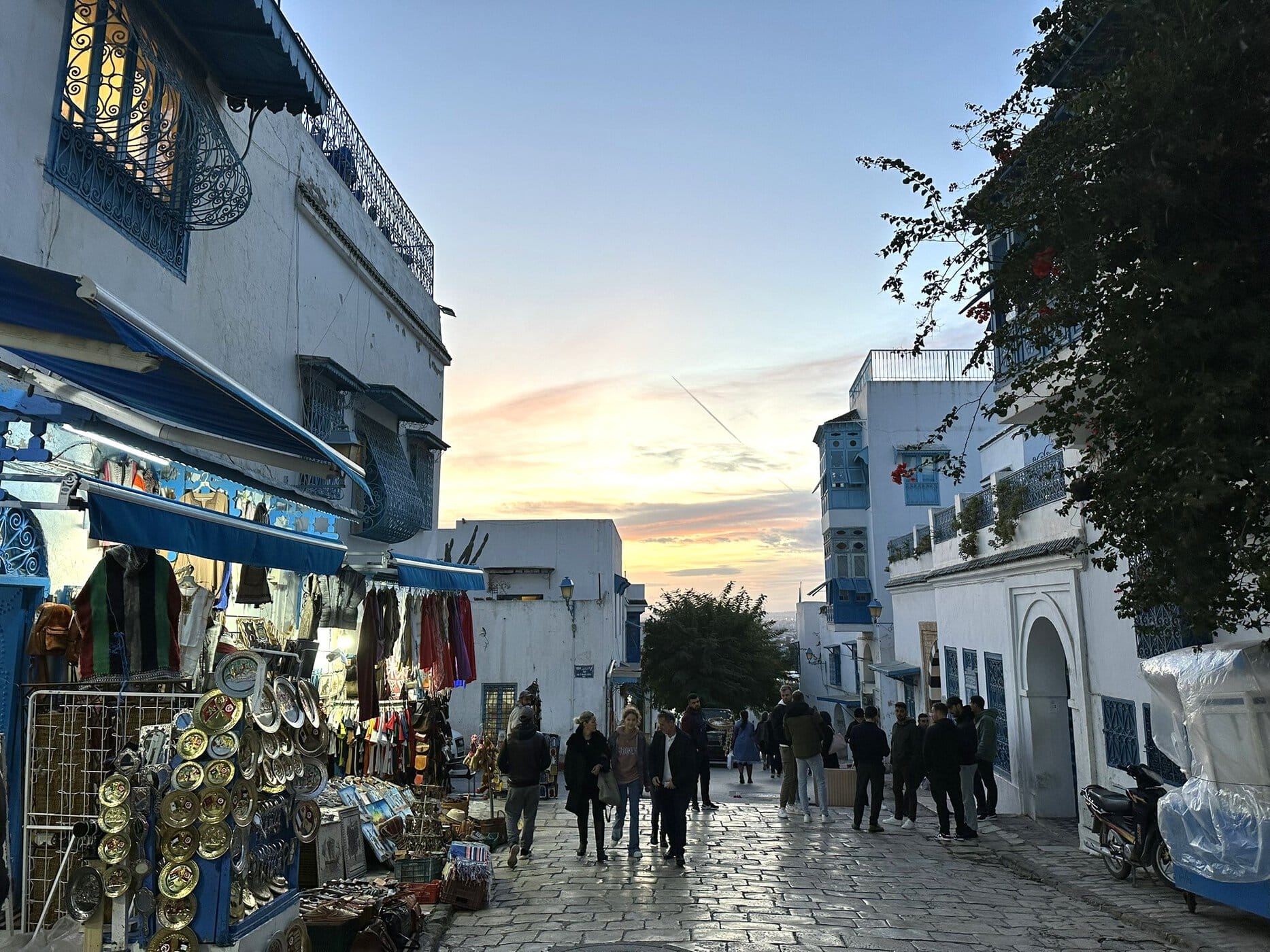 Tunisia Travel Guide: from Tunis to the Sahara | Itineraries and Highlights - sidi bou said 2