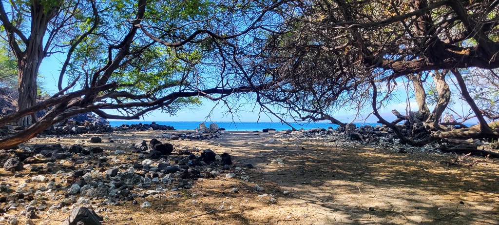 Maui Hoapili Plage Kiawe2