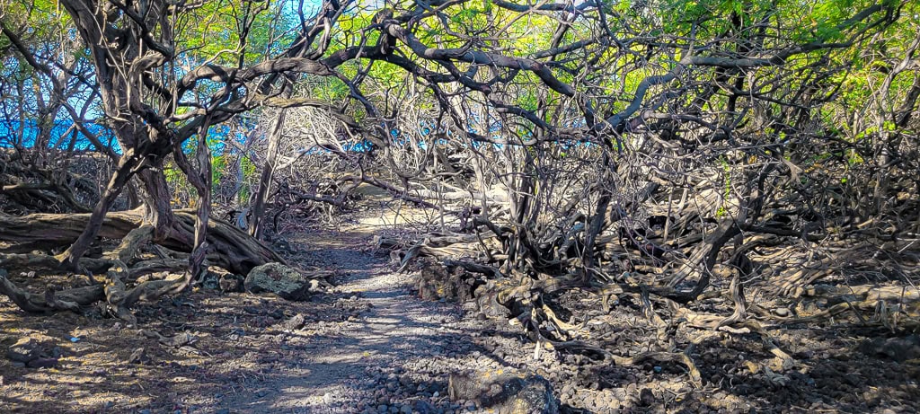 Maui Hoapili chemin vers Kiawe