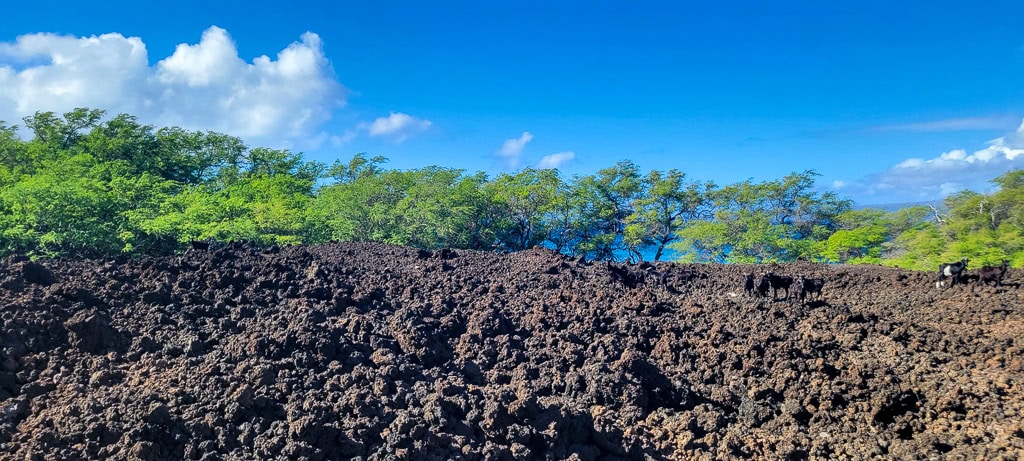 Maui Hoapili2