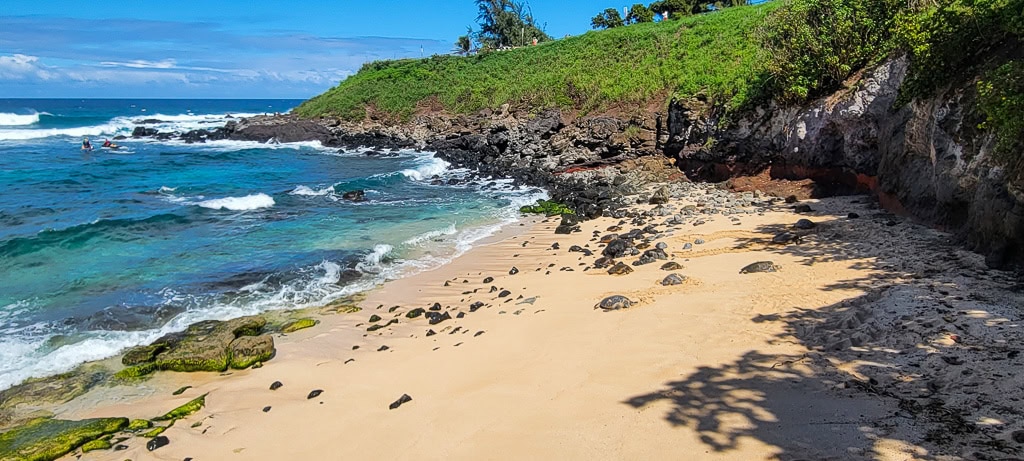 Maui Hookipa Beach 20241109 124548
