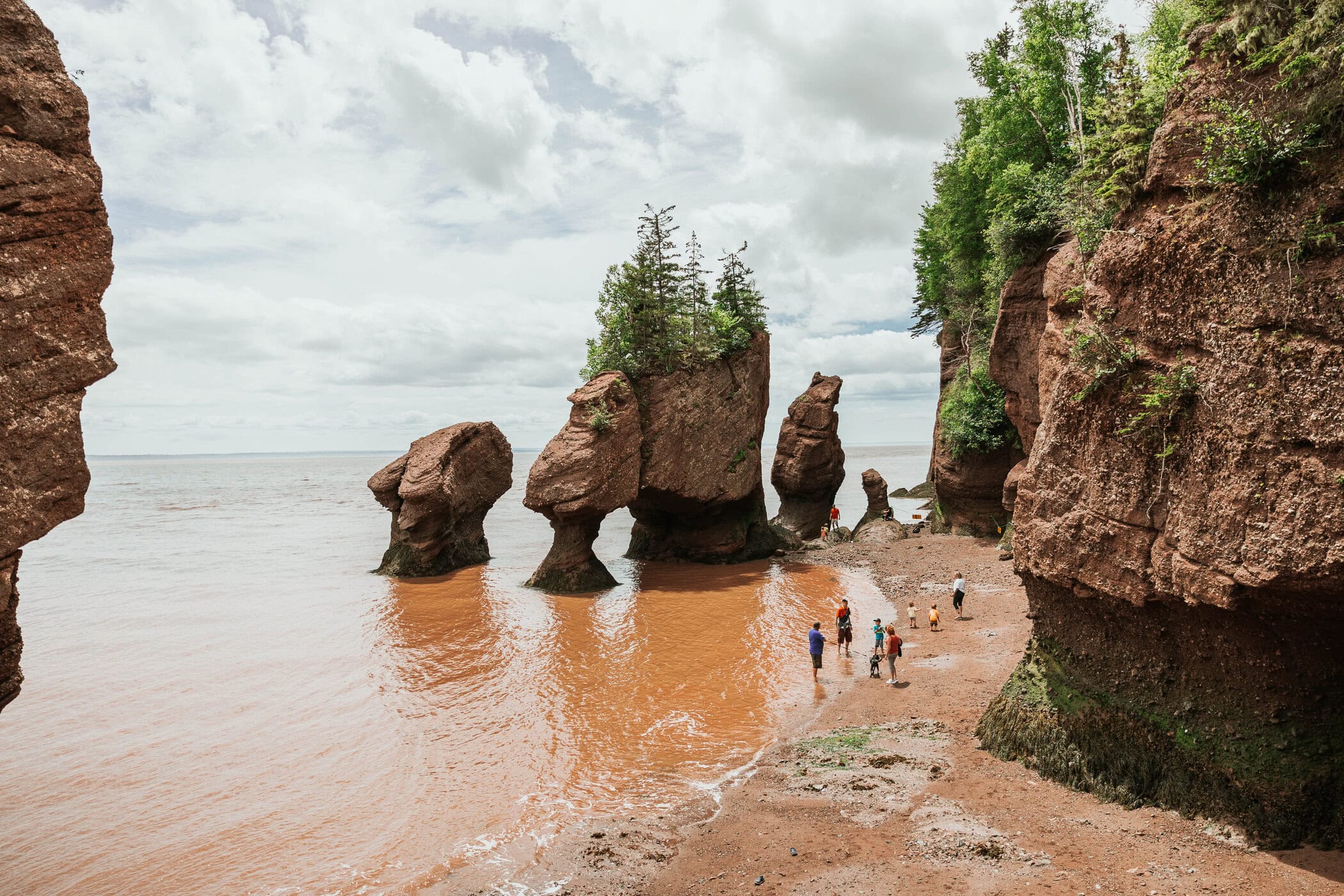 Voyage au Canada&nbsp;: les destinations à ne pas manquer en 2026 - Hopewell Rocks