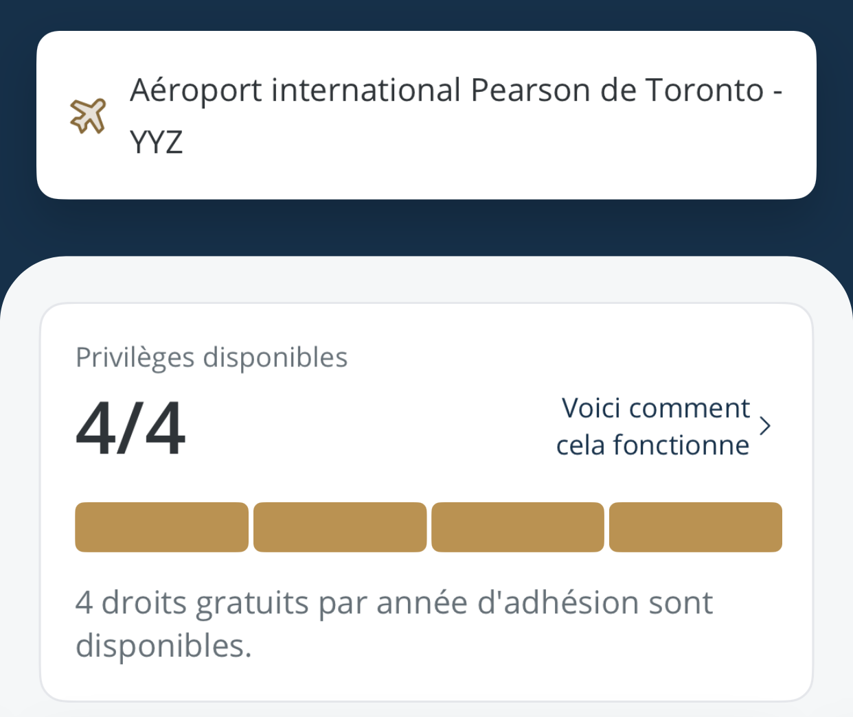 Guide complet sur le programme Compagnon d’aéroport Visa - Pass Entitlement EN