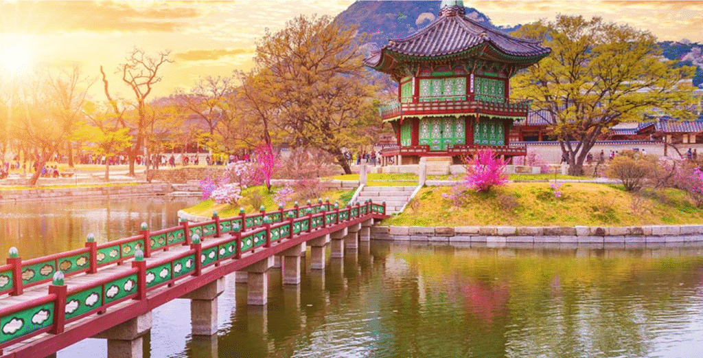 WestJet Business Class Seoul