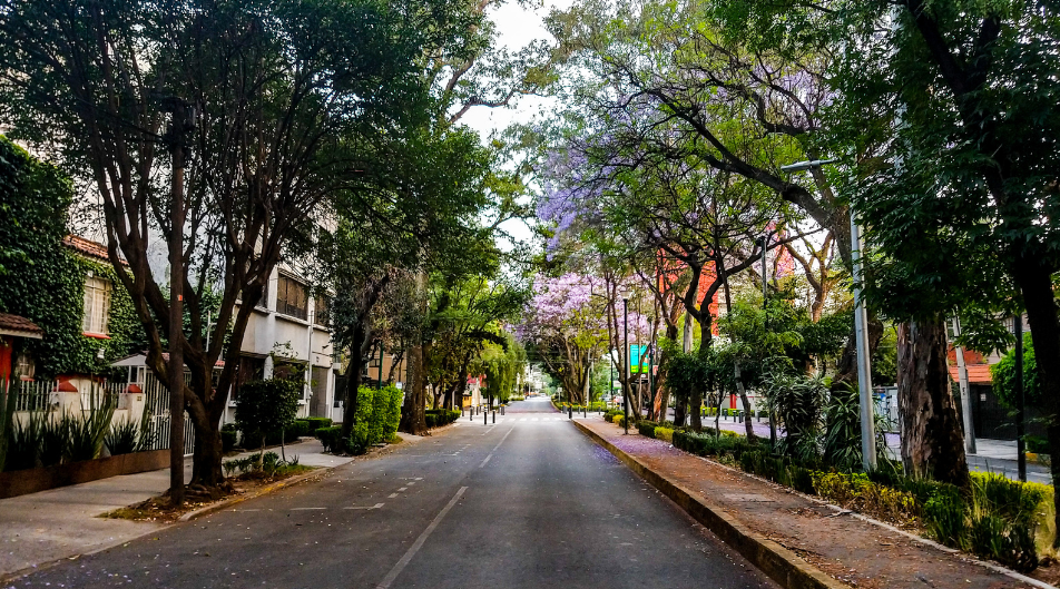 Mexico City Condesa and Roma neighbourhoods