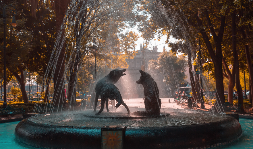 Mexico City Coyoacan neighbourhood