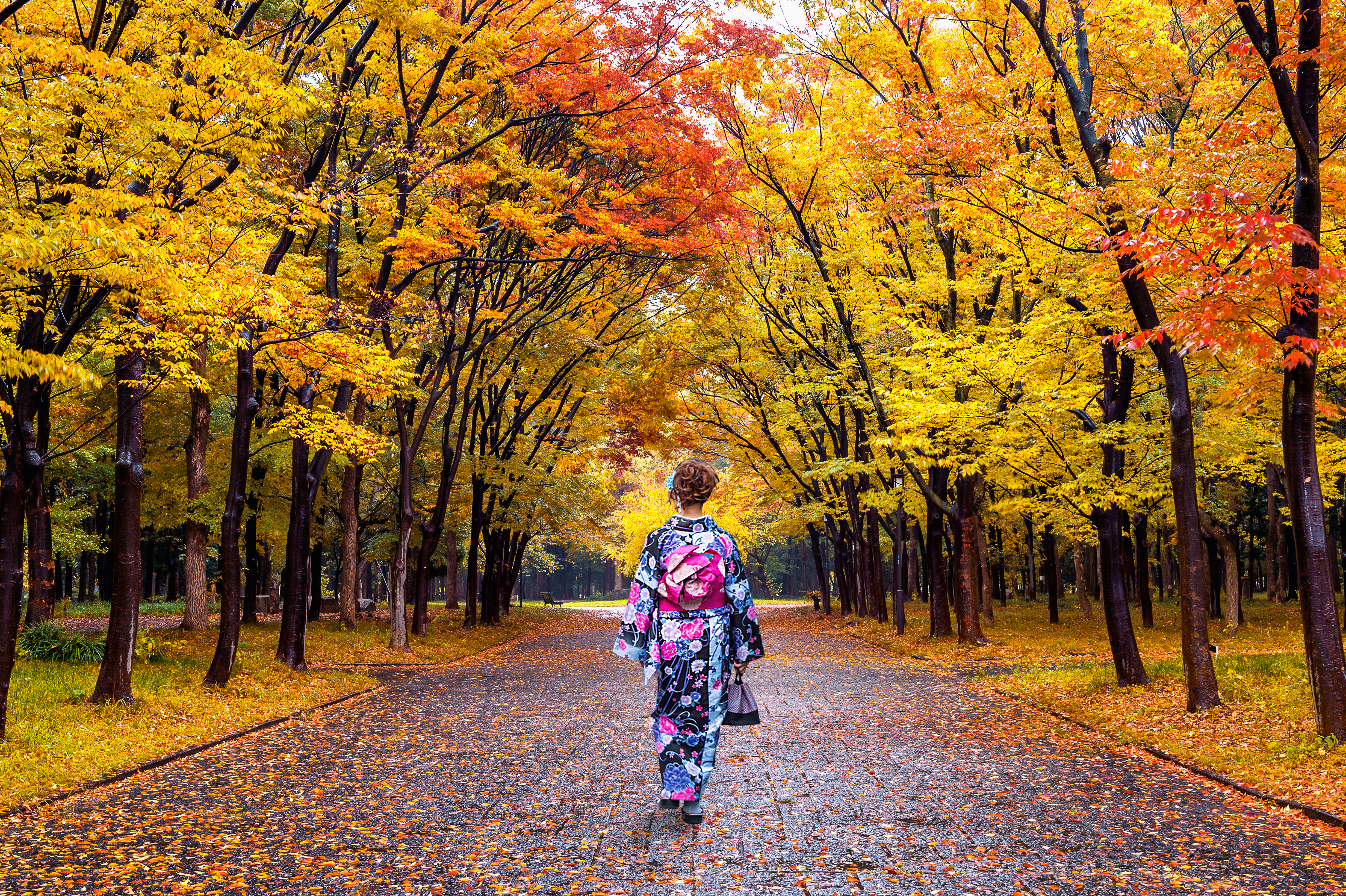 7 Best Travel Destinations to Admire Fall Colours - Asian woman wearing japanese traditional kimono in autumn park.