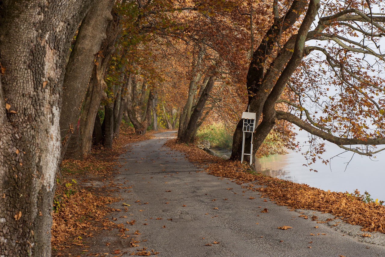 7 Best Travel Destinations to Admire Fall Colours - greece-6792046-1280