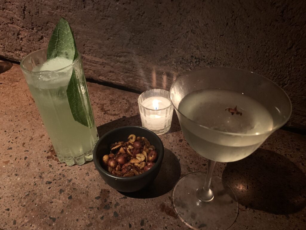 Mexico City - Drinks at Mauro 2