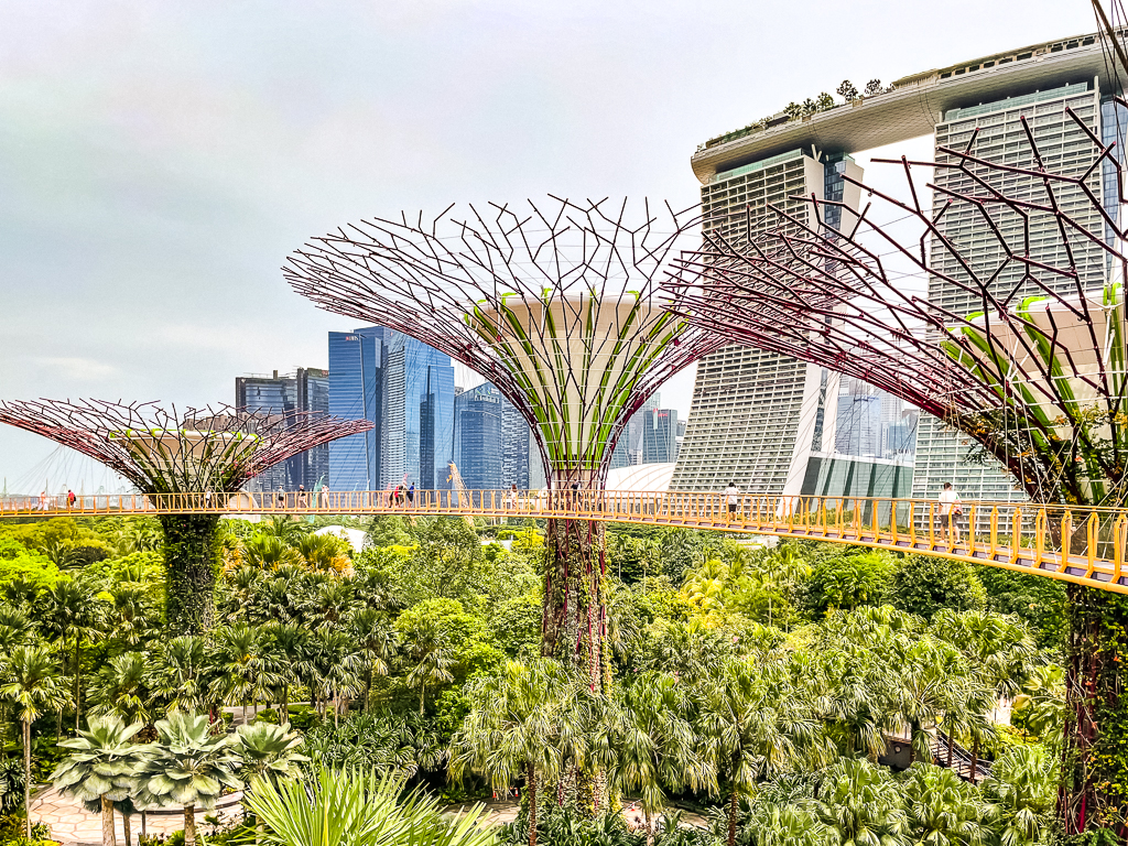 Singapore Attractions Supertree Grove 1
