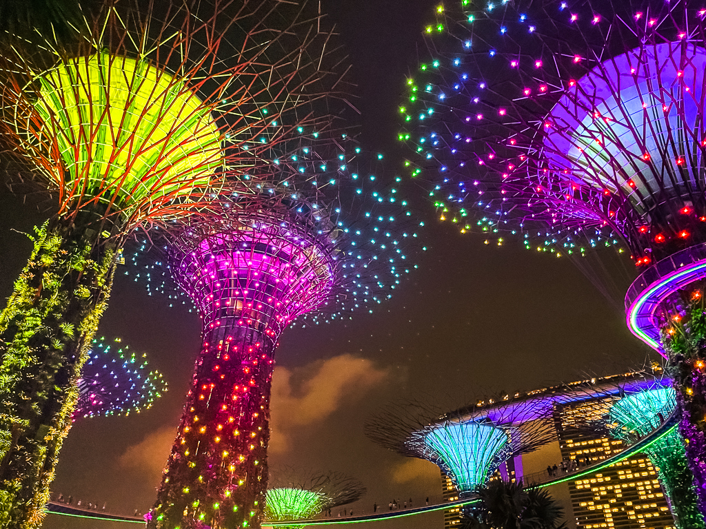 Singapore Attractions Supertree Grove 2