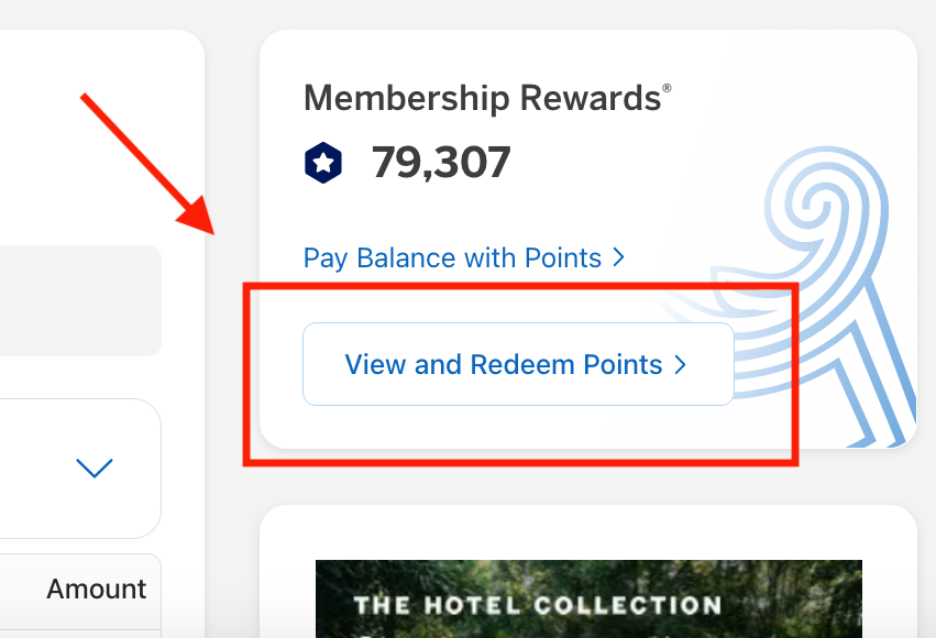 Amex Fixed Travel - View and Redeem Points EN