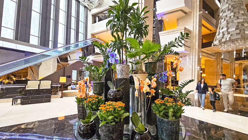 Bar lounge intime aux tons violets avec comptoir et fauteuils en cuir au JW Marriott Hotel Ankara