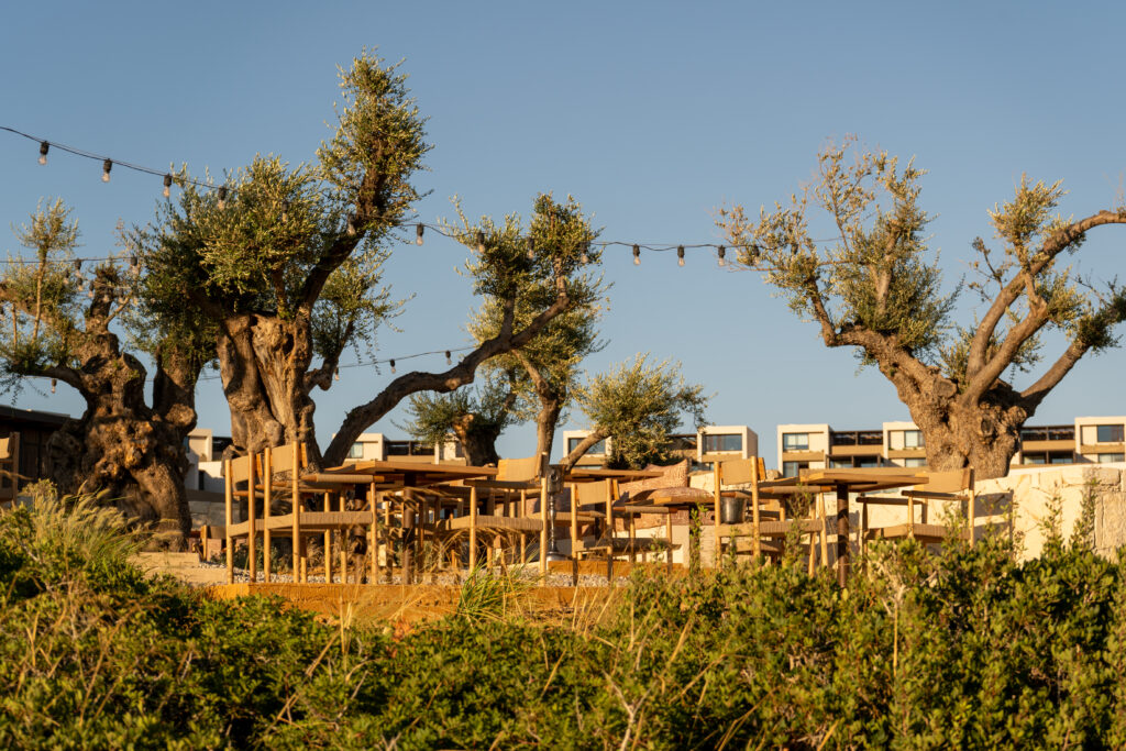 JW Crete Resort and Spa 9