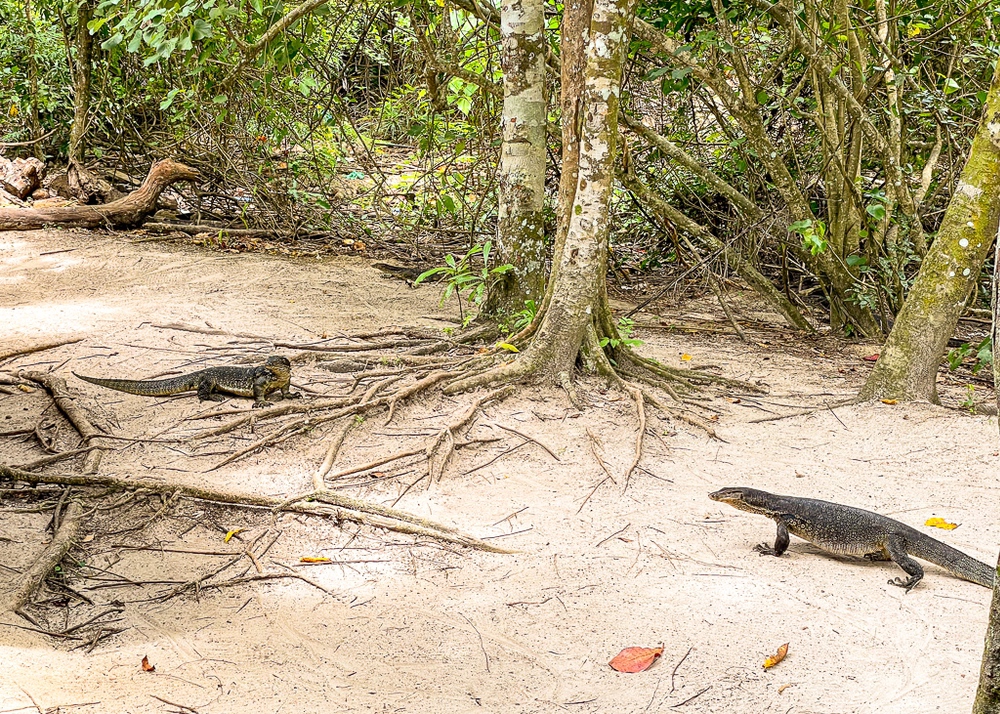SLH – Gaya Island Resort -Situation 3