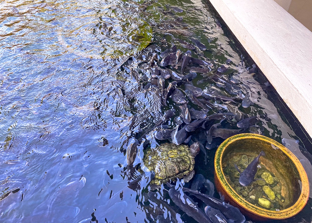 SLH - Tanjong Jara ResortAccueil 2